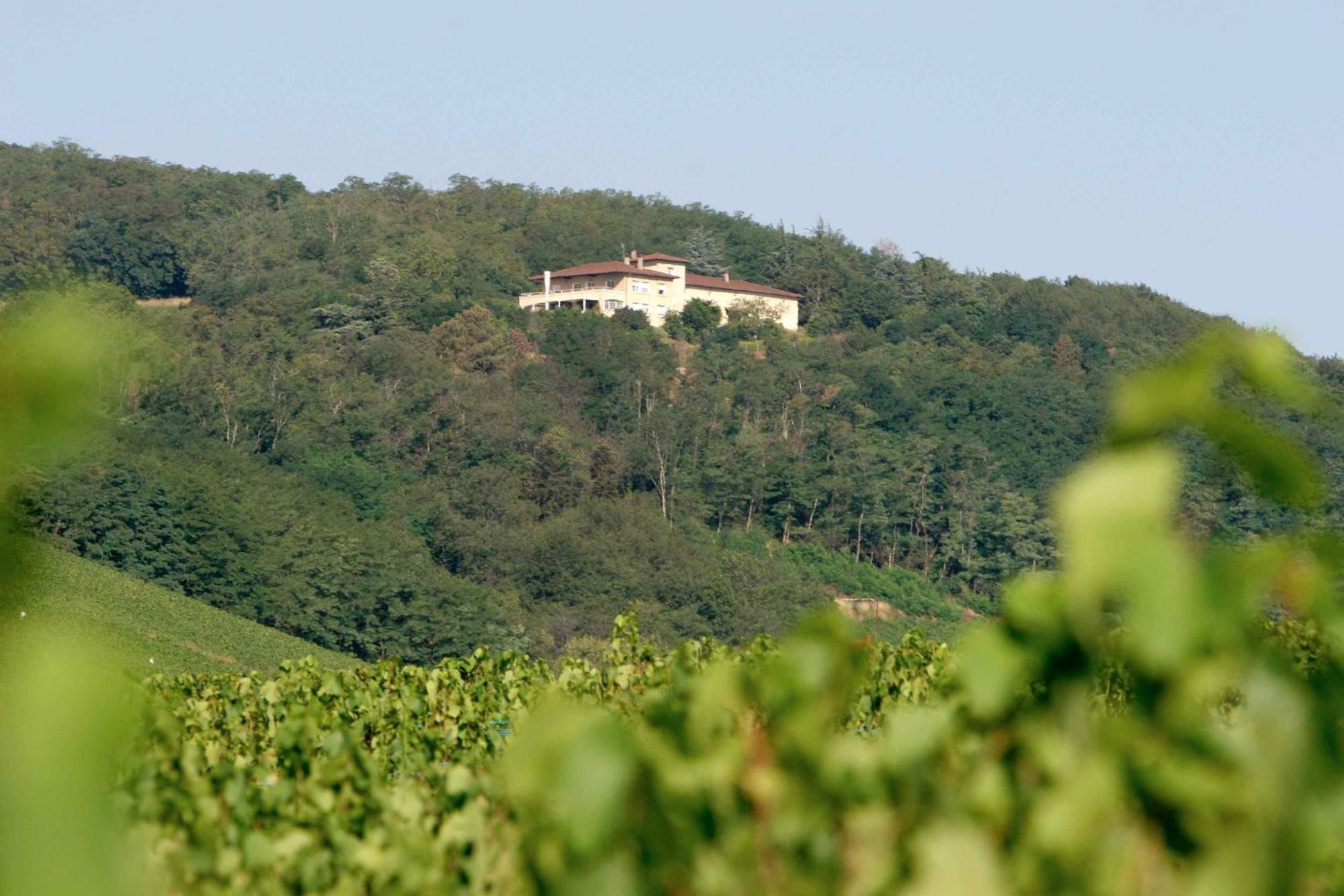 Auberge Les Hauts De Chénas Eksteriør bilde